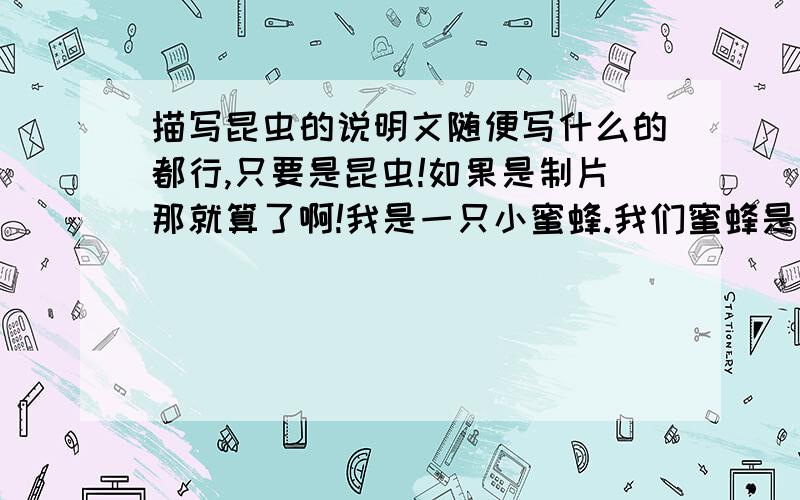 描写昆虫的说明文随便写什么的都行,只要是昆虫!如果是制片那就算了啊!我是一只小蜜蜂.我们蜜蜂是过群体生活的.在一个蜂群中有三种蜂：一只蜂王,少数雄蜂和几千到几万只工蜂.我就是这