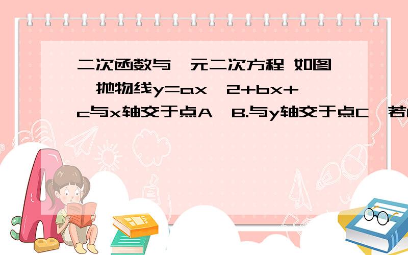 二次函数与一元二次方程 如图,抛物线y=ax^2+bx+c与x轴交于点A,B.与y轴交于点C,若OB=OC=1/2OA,求b的值.抛物线顶点在第二象限开口向下 A在y左B在y右不要复制别人的