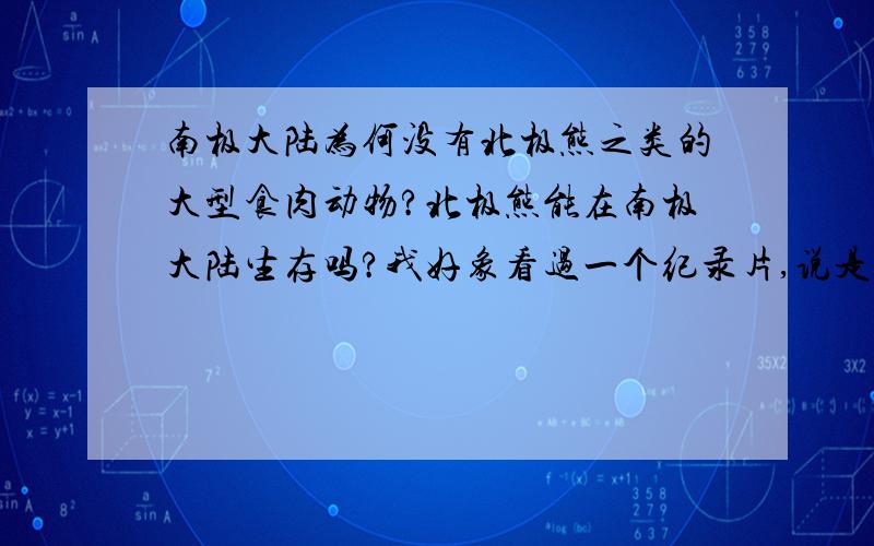 南极大陆为何没有北极熊之类的大型食肉动物?北极熊能在南极大陆生存吗?我好象看过一个纪录片,说是在南极大陆的边缘地带有海豹,这就可以为熊提供食物了,还有,数量庞大的企鹅群,也可以