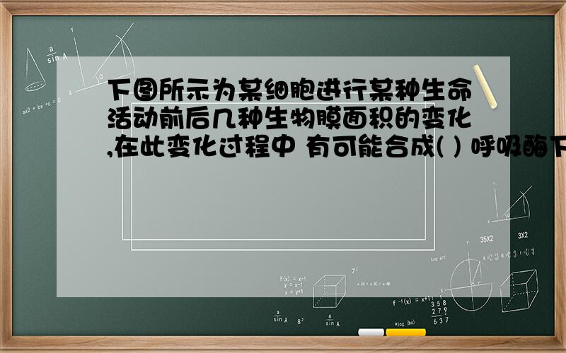 下图所示为某细胞进行某种生命活动前后几种生物膜面积的变化,在此变化过程中 有可能合成( ) 呼吸酶下图所示为某细胞进行某种生命活动前后几种生物膜面积的变化,在此变化过程中 有可