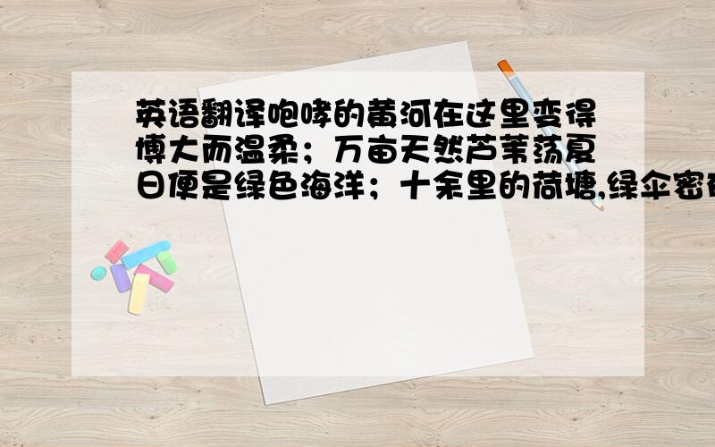 英语翻译咆哮的黄河在这里变得博大而温柔；万亩天然芦苇荡夏日便是绿色海洋；十余里的荷塘,绿伞密布,亭亭玉立；七眼瀵泉秀夺天下,水温常年保持在30℃左右,富含锶、硒等矿物元素,是天