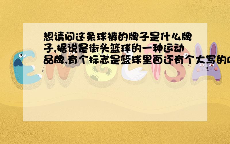 想请问这条球裤的牌子是什么牌子,据说是街头篮球的一种运动品牌,有个标志是篮球里面还有个大写的B字母