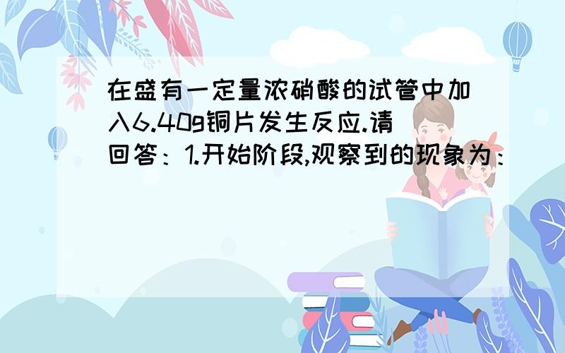 在盛有一定量浓硝酸的试管中加入6.40g铜片发生反应.请回答：1.开始阶段,观察到的现象为：_________________2.反应结束后,铜片有剩余,再加入少量20%的稀硫酸,这时铜片上又有气泡产生,反映的离