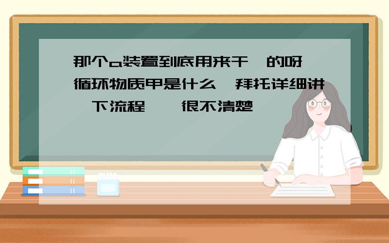 那个a装置到底用来干嘛的呀,循环物质甲是什么,拜托详细讲一下流程……很不清楚……………………多谢