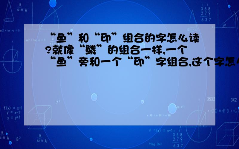 “鱼”和“印”组合的字怎么读?就像“鳞”的组合一样,一个“鱼”旁和一个“印”字组合,这个字怎么读?