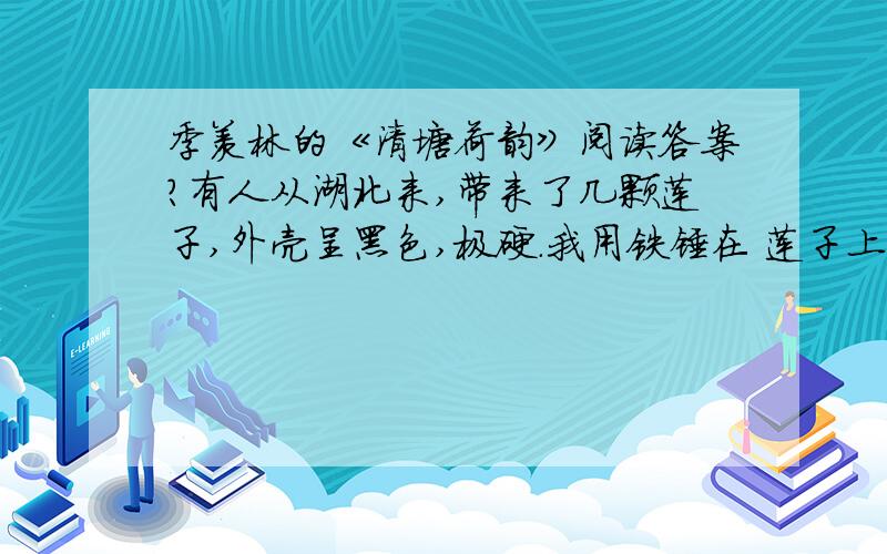 季羡林的《清塘荷韵》阅读答案?有人从湖北来,带来了几颗莲子,外壳呈黑色,极硬.我用铁锤在 莲子上砸开了一条缝,让莲芽能够破壳而出,不至永远埋在泥 中.这样一来,我每天就多了一件工作