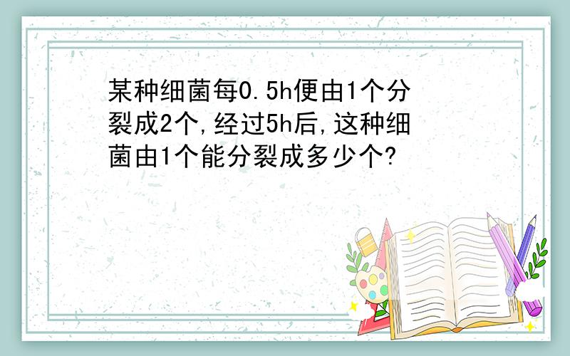 某种细菌每0.5h便由1个分裂成2个,经过5h后,这种细菌由1个能分裂成多少个?