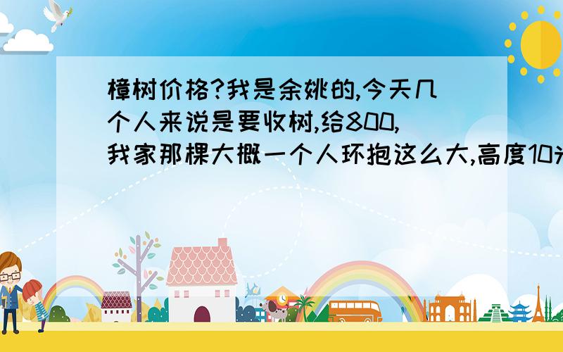 樟树价格?我是余姚的,今天几个人来说是要收树,给800,我家那棵大概一个人环抱这么大,高度10米左右,求行家给个价.