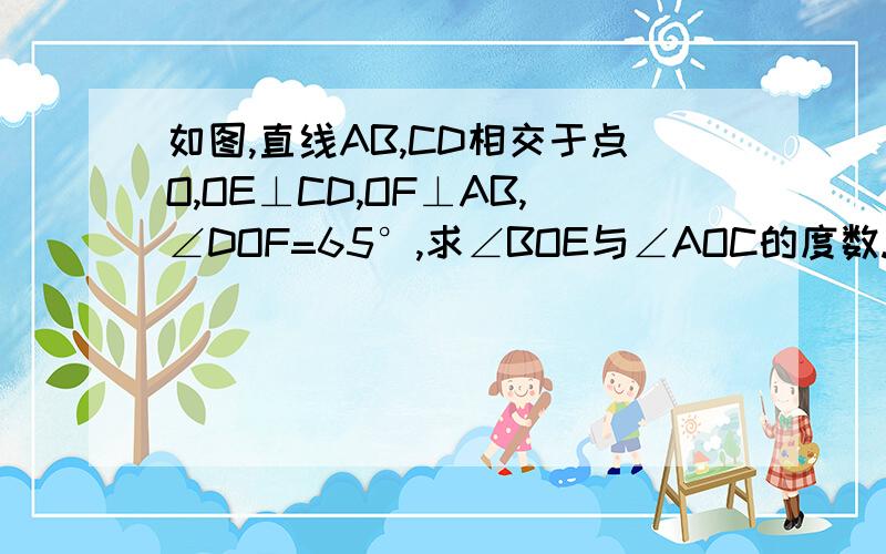 如图,直线AB,CD相交于点O,OE⊥CD,OF⊥AB,∠DOF=65°,求∠BOE与∠AOC的度数.