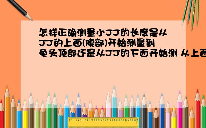 怎样正确测量小JJ的长度是从JJ的上面(腹部)开始测量到龟头顶部还是从JJ的下面开始测 从上面测长点 从下面测短点的