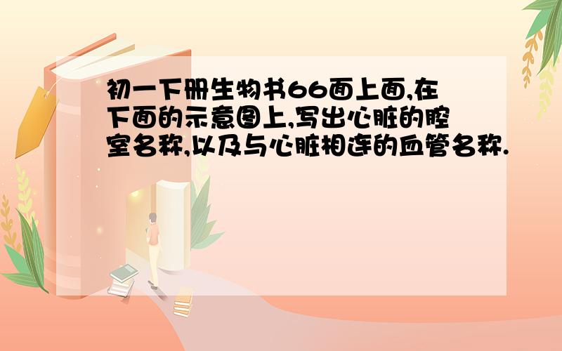 初一下册生物书66面上面,在下面的示意图上,写出心脏的腔室名称,以及与心脏相连的血管名称.