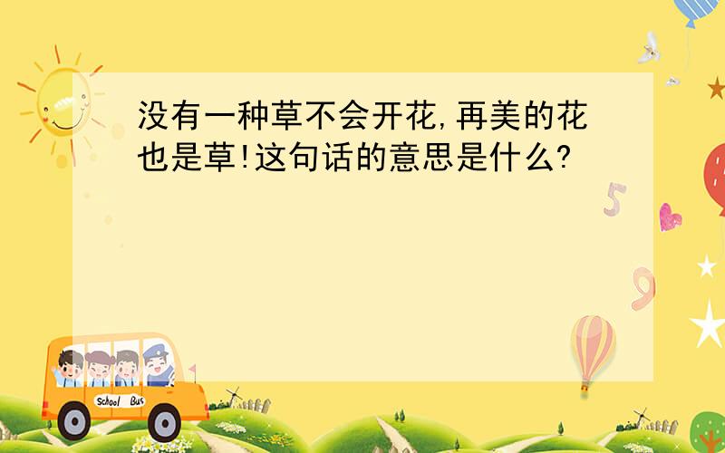 没有一种草不会开花,再美的花也是草!这句话的意思是什么?