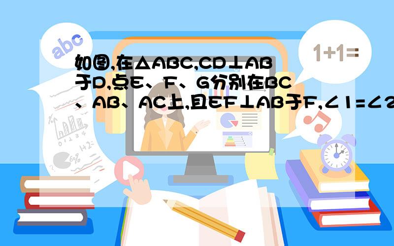 如图,在△ABC,CD⊥AB于D,点E、F、G分别在BC、AB、AC上,且EF⊥AB于F,∠1=∠2,试判断DG与BC的关系