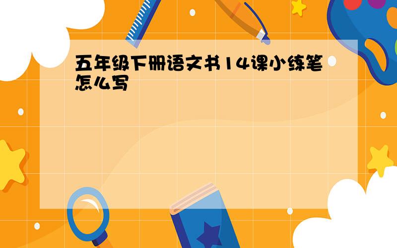 五年级下册语文书14课小练笔怎么写