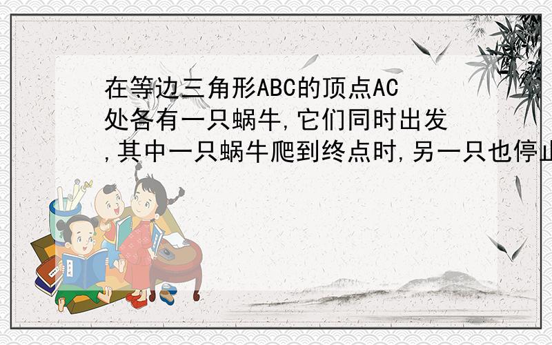 在等边三角形ABC的顶点AC处各有一只蜗牛,它们同时出发,其中一只蜗牛爬到终点时,另一只也停止它们分别爬行到DE处(1)在爬行过程中,CD和BE始终相等吗（2）如果两蜗牛沿着AB和CA的延长线爬行,