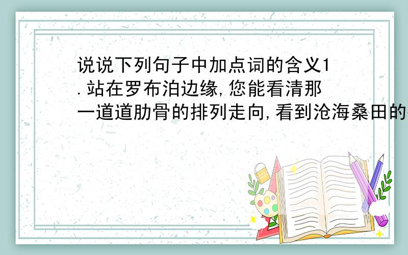 说说下列句子中加点词的含义1.站在罗布泊边缘,您能看清那一道道肋骨的排列走向,看到沧海桑田的痕迹.肋骨：2.他无欲则刚,刀枪不入,超脱凡俗,关注人生,原谅一切可以原谅的人和事,洞悉一