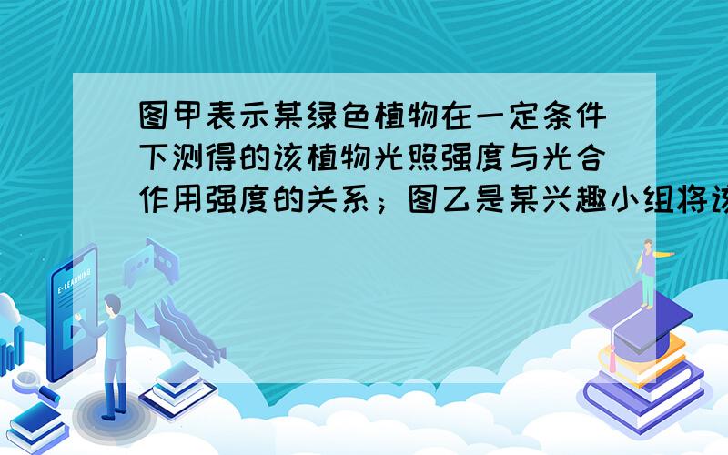 图甲表示某绿色植物在一定条件下测得的该植物光照强度与光合作用强度的关系；图乙是某兴趣小组将该植物栽培在密闭玻璃温室中,用红外线测量仪测得室内的c02浓度与时间关系的曲线.请