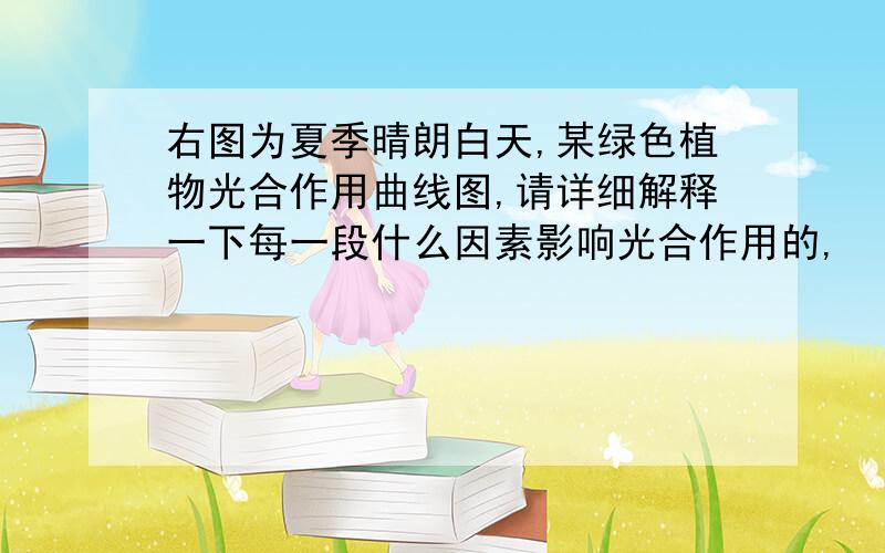 右图为夏季晴朗白天,某绿色植物光合作用曲线图,请详细解释一下每一段什么因素影响光合作用的,