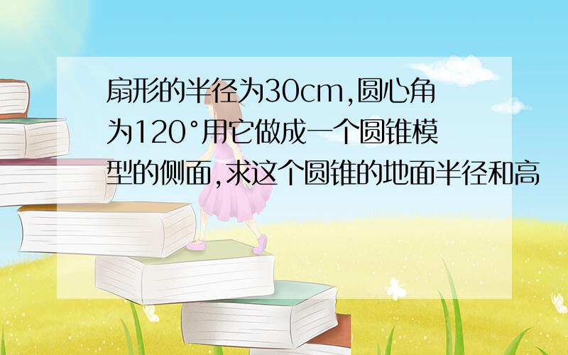 扇形的半径为30cm,圆心角为120°用它做成一个圆锥模型的侧面,求这个圆锥的地面半径和高