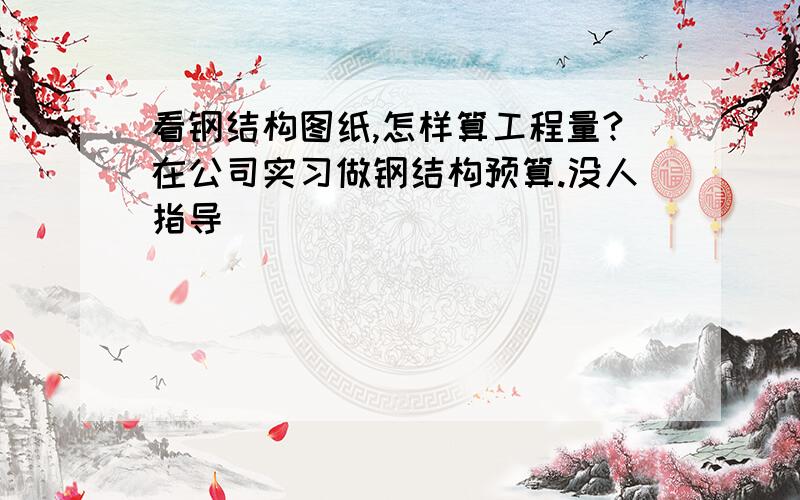 看钢结构图纸,怎样算工程量?在公司实习做钢结构预算.没人指导