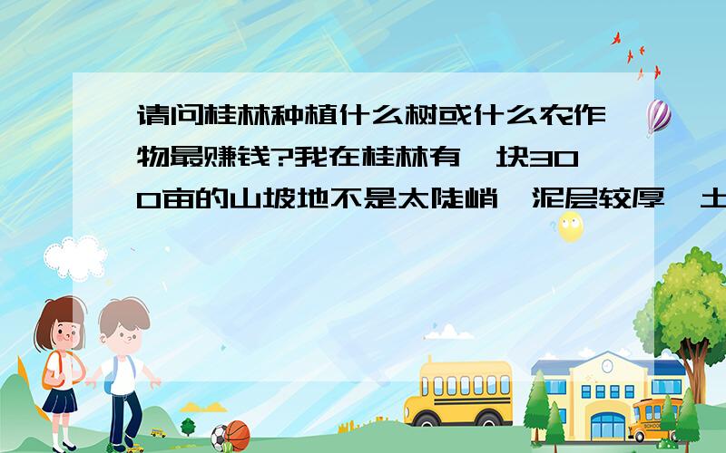 请问桂林种植什么树或什么农作物最赚钱?我在桂林有一块300亩的山坡地不是太陡峭,泥层较厚,土质较肥,请问种植什么树或什么农作物最赚钱?请有经验的朋友给个分析与建议,我一辈子都会感