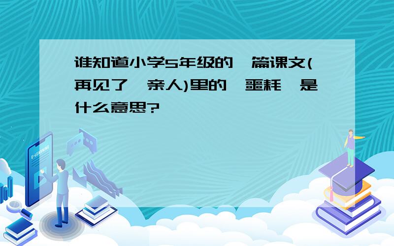 谁知道小学5年级的一篇课文(再见了,亲人)里的