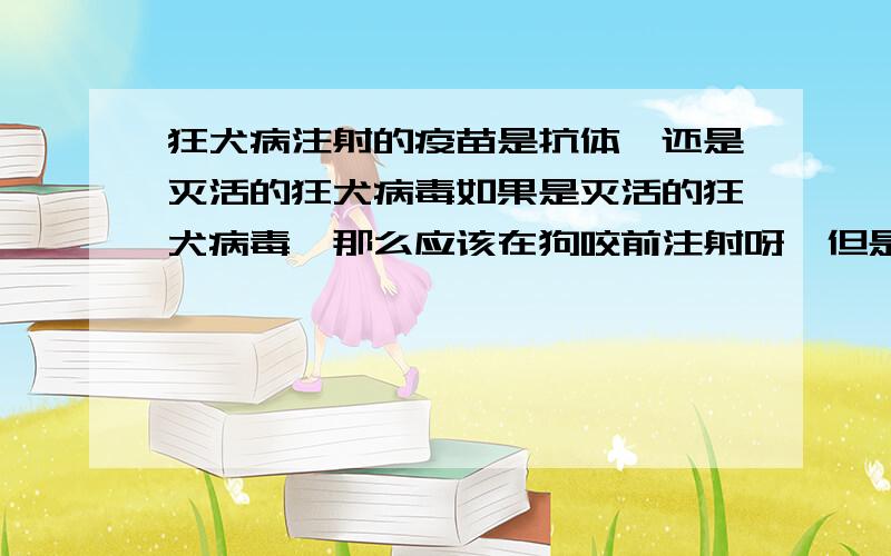 狂犬病注射的疫苗是抗体,还是灭活的狂犬病毒如果是灭活的狂犬病毒,那么应该在狗咬前注射呀,但是狂犬病疫苗是咬后打针的