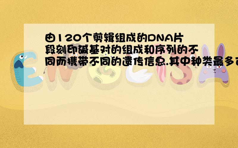 由120个剪辑组成的DNA片段刻印碱基对的组成和序列的不同而携带不同的遗传信息.其中种类最多可达四的六十次方、那么为什么二的一百二十次方不对.他们不是同一个数字么?还是类似的题目,