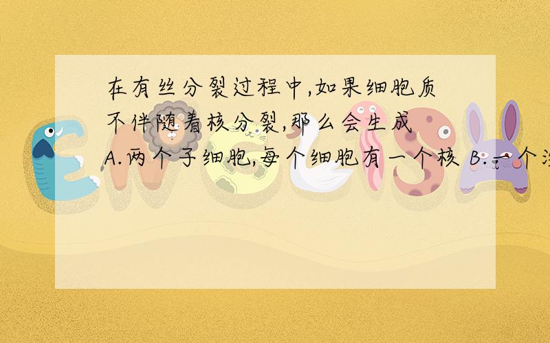 在有丝分裂过程中,如果细胞质不伴随着核分裂,那么会生成 A.两个子细胞,每个细胞有一个核 B.一个没有核的细胞 C.两个没有核的细胞 D.一个双核细胞 请给出解析.单细胞生物繁殖新个体时常