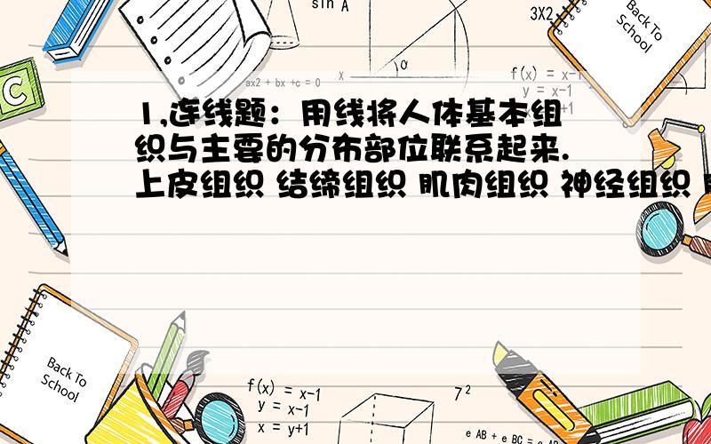 1,连线题：用线将人体基本组织与主要的分布部位联系起来.上皮组织 结缔组织 肌肉组织 神经组织 脑 呼吸道内表面 血液 骨骼 消化管内表面 脊髓 骨骼肌 皮肤的表皮