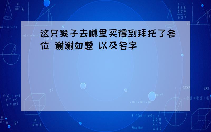 这只猴子去哪里买得到拜托了各位 谢谢如题 以及名字