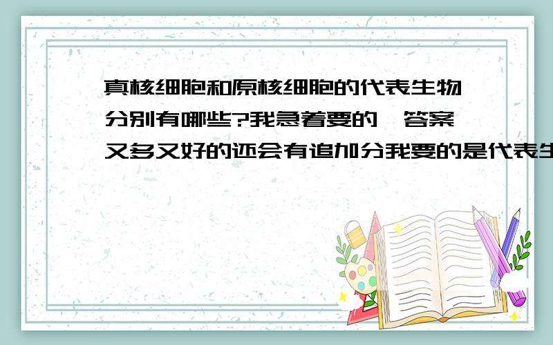 真核细胞和原核细胞的代表生物分别有哪些?我急着要的,答案又多又好的还会有追加分我要的是代表生物啊,不是细胞区别