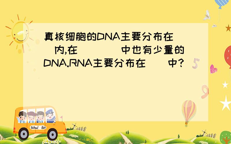 真核细胞的DNA主要分布在（）内,在（）（）中也有少量的DNA.RNA主要分布在（）中?
