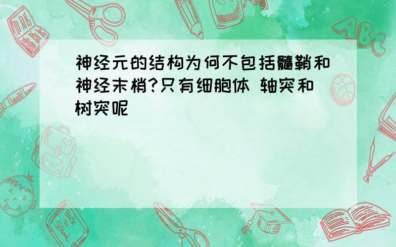 神经元的结构为何不包括髓鞘和神经末梢?只有细胞体 轴突和树突呢