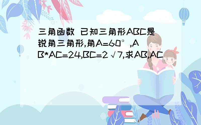 三角函数 已知三角形ABC是锐角三角形,角A=60°,AB*AC=24,BC=2√7,求AB,AC