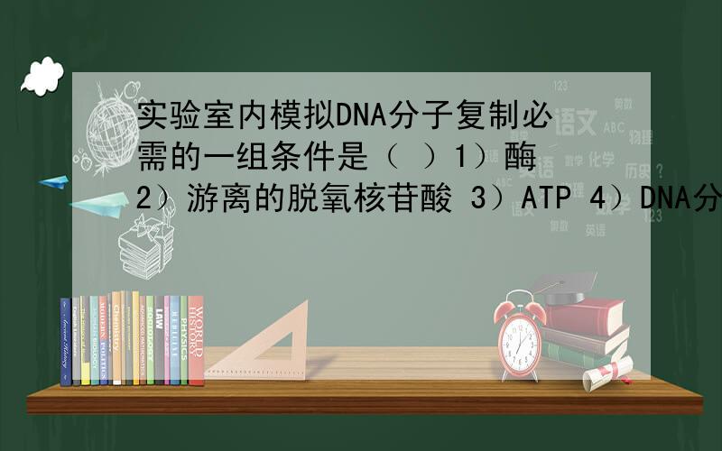 实验室内模拟DNA分子复制必需的一组条件是（ ）1）酶 2）游离的脱氧核苷酸 3）ATP 4）DNA分子 5）适宜的温度 6） 适宜的酸碱度 A 1 2 3 B 1 2 3 4 C 1 2 3 4 5 D 1 2 3 4 5 6