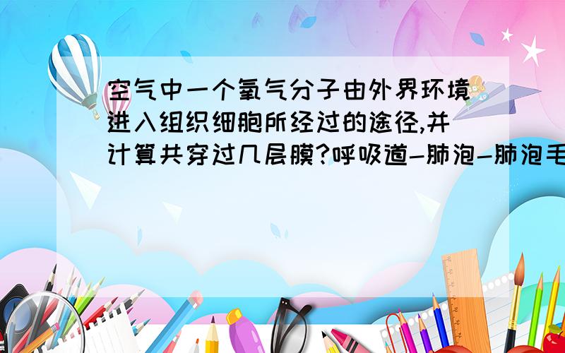 空气中一个氧气分子由外界环境进入组织细胞所经过的途径,并计算共穿过几层膜?呼吸道-肺泡-肺泡毛细血管-血液循环系统-组织毛细血管-组织液-组织细胞,共9层膜.我想知道的是。为什么是9