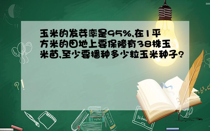 玉米的发芽率是95%,在1平方米的田地上要保障有38株玉米苗,至少要播种多少粒玉米种子?