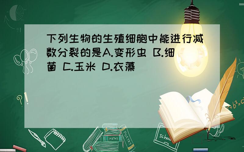 下列生物的生殖细胞中能进行减数分裂的是A.变形虫 B.细菌 C.玉米 D.衣藻