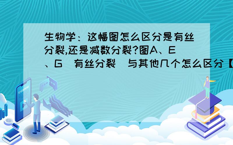 生物学：这幅图怎么区分是有丝分裂,还是减数分裂?图A、E、G（有丝分裂）与其他几个怎么区分【点图能放大哒~】