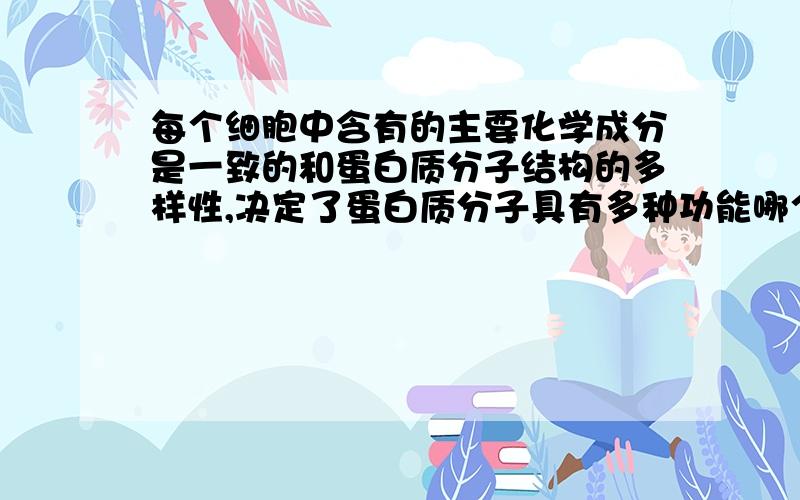 每个细胞中含有的主要化学成分是一致的和蛋白质分子结构的多样性,决定了蛋白质分子具有多种功能哪个是对的?为什么?