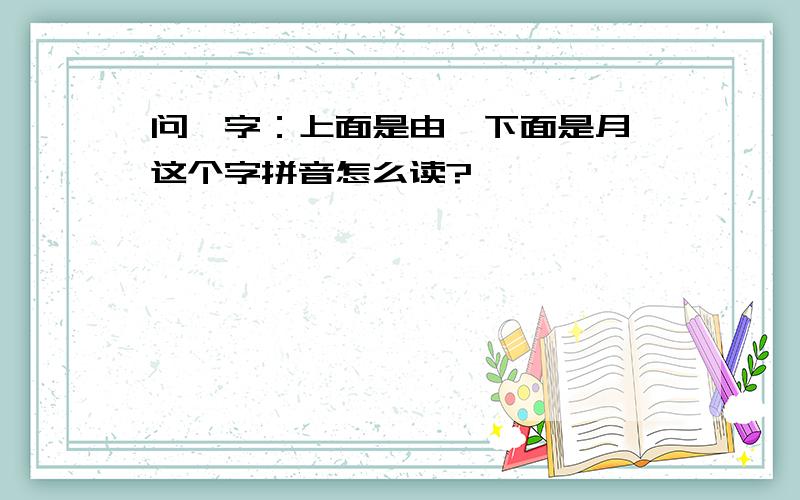 问一字：上面是由,下面是月,这个字拼音怎么读?