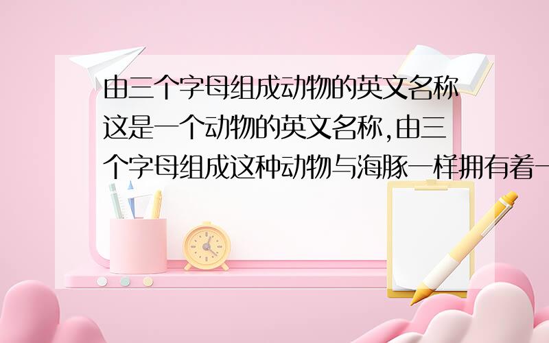 由三个字母组成动物的英文名称这是一个动物的英文名称,由三个字母组成这种动物与海豚一样拥有着一项独有的能力这项能力后来为人类科技发展作出了贡献=