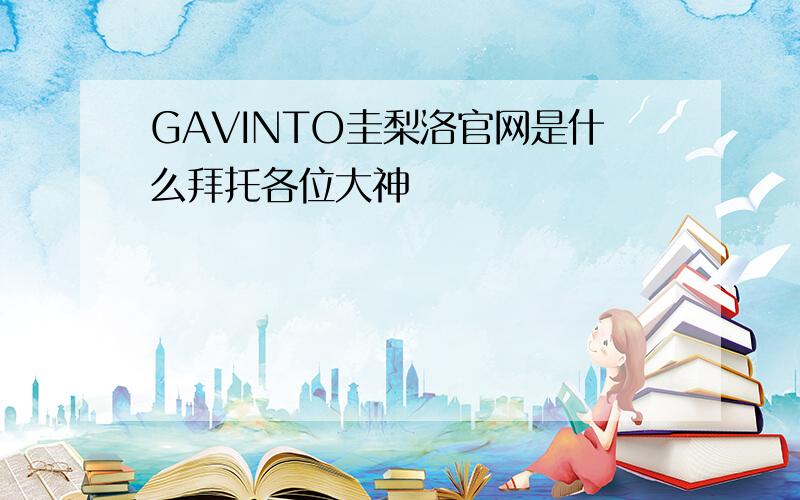 GAVINTO圭梨洛官网是什么拜托各位大神