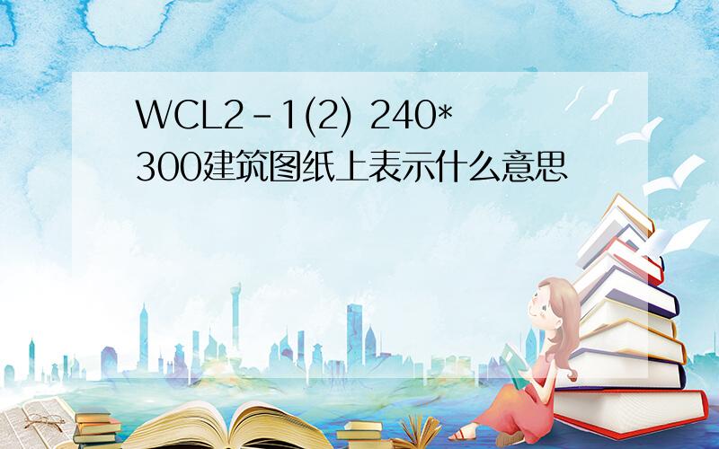 WCL2-1(2) 240*300建筑图纸上表示什么意思