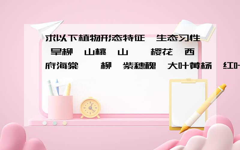 求以下植物形态特征、生态习性 旱柳、山桃、山楂、樱花、西府海棠、柽柳、紫穗槐、大叶黄杨、红叶石楠、荷花、金银木、海桐、芦苇 求以上任意十种的 “形态特征和生态习性” 时间比