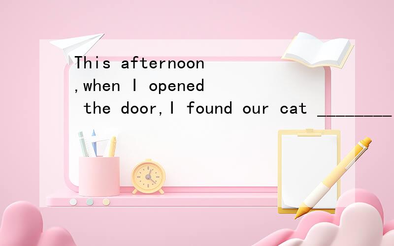 This afternoon,when I opened the door,I found our cat ________ in the corner with threenew baby cats.It was surprising!A.lie B.lied C.lying D.to lie为什么不选B?