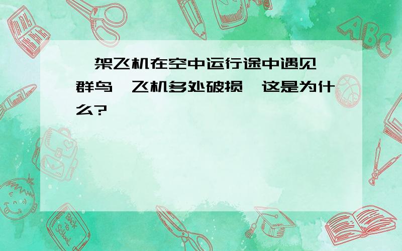 一架飞机在空中运行途中遇见一群鸟,飞机多处破损,这是为什么?