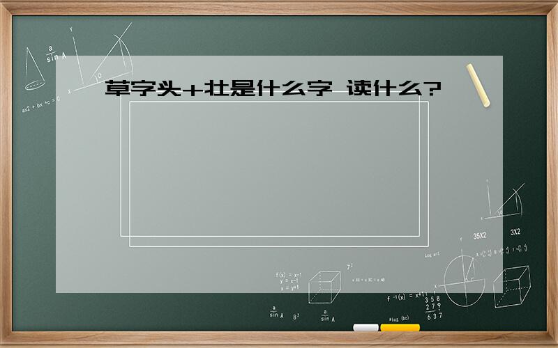 草字头+壮是什么字 读什么?