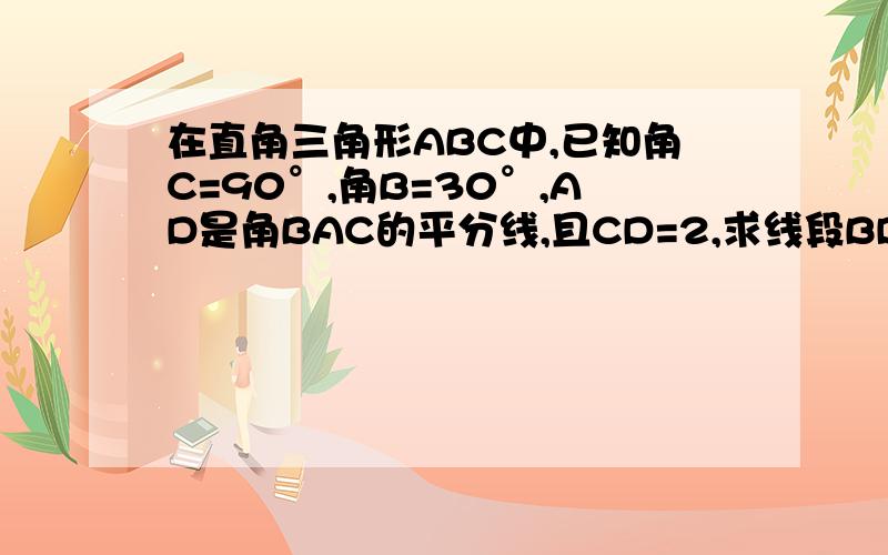 在直角三角形ABC中,已知角C=90°,角B=30°,AD是角BAC的平分线,且CD=2,求线段BD的